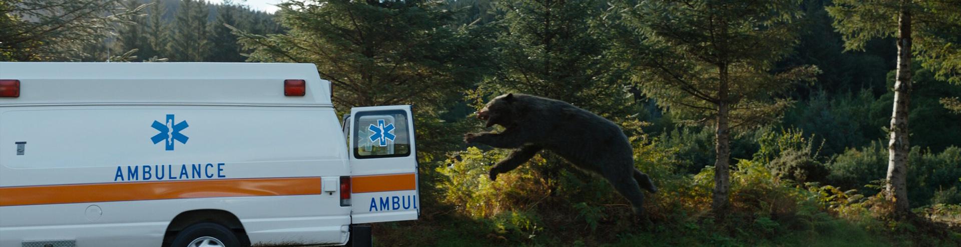 URSO DO PÓ BRANCO: Saiba quando lança o filme do urso que comeu