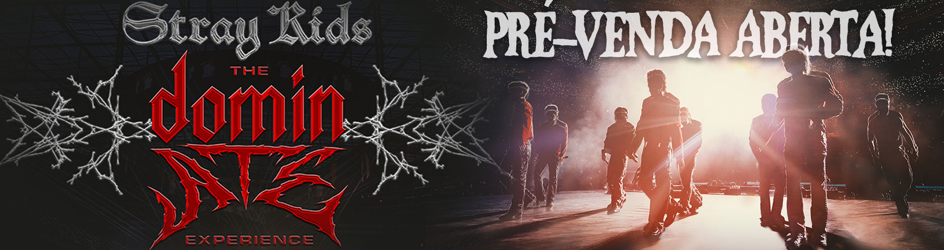 Banner Stray Kids: The Dominate Experience