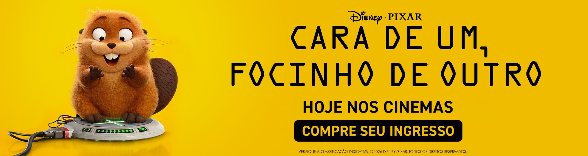 Banner Cara de um, Focinho de Outro